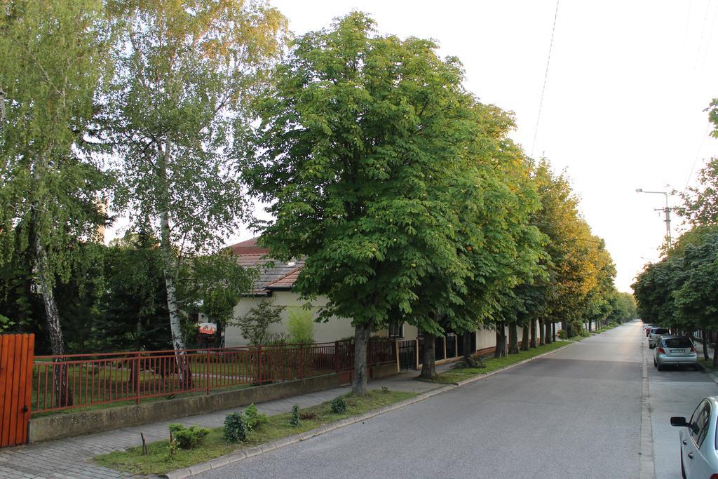 Willa Evelin Nyaralohaz Siófok Zewnętrze zdjęcie